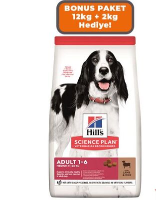 Hills Adult Lamb Kuzu Etli Orta Irk Yetişkin Köpek Maması 14kg