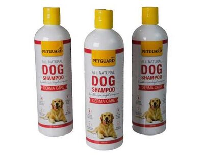 Petguard Dog Shampoo Derma Care Köpek Şampuanı 400Ml