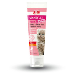 BioPetActive - BioPetActive VitaliCAT Paste Junior Yavru Kediler İçin Vitamin Macunu 100 ml